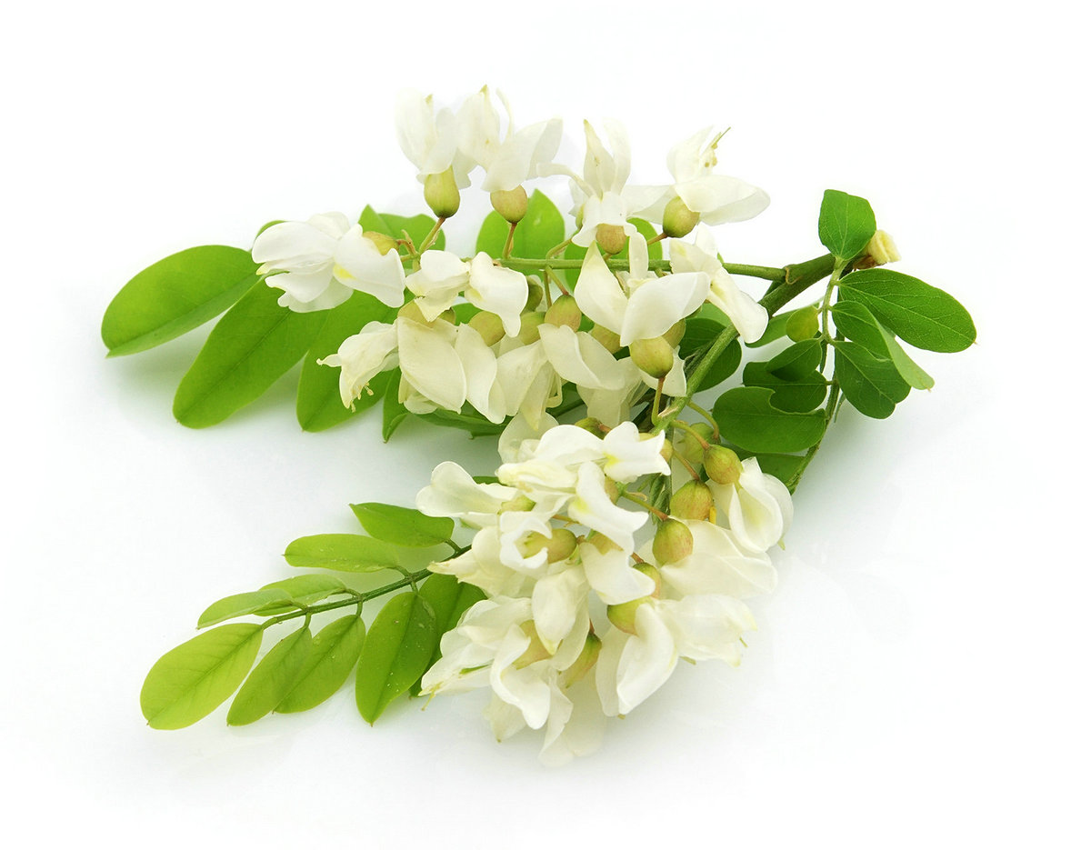Quercetin